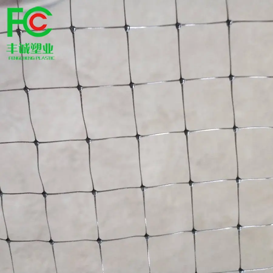 heavy duty 8x8mm 100% pp cherry tree cover bird control black anti bird net fred wire mesh for orchard