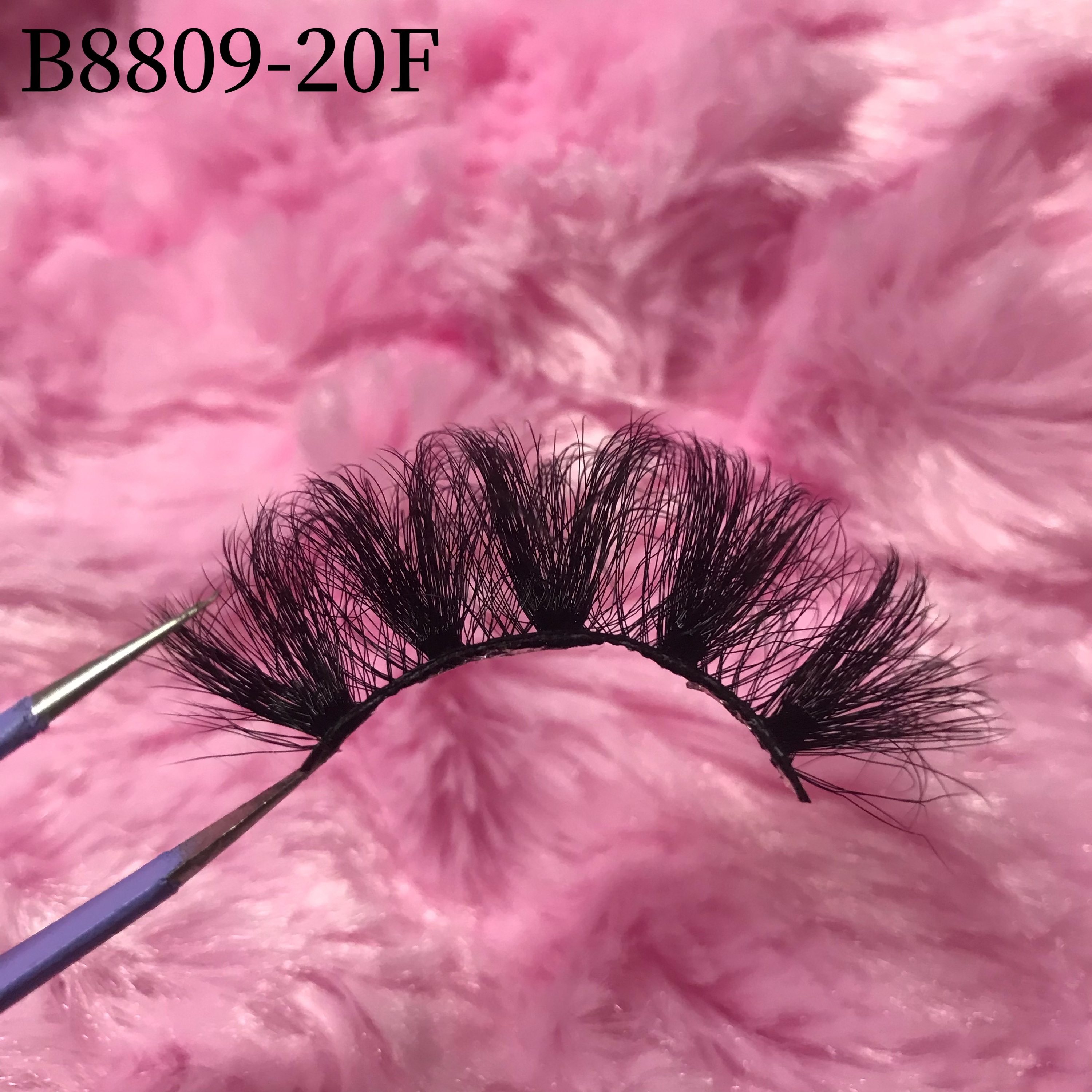 B8809-20F