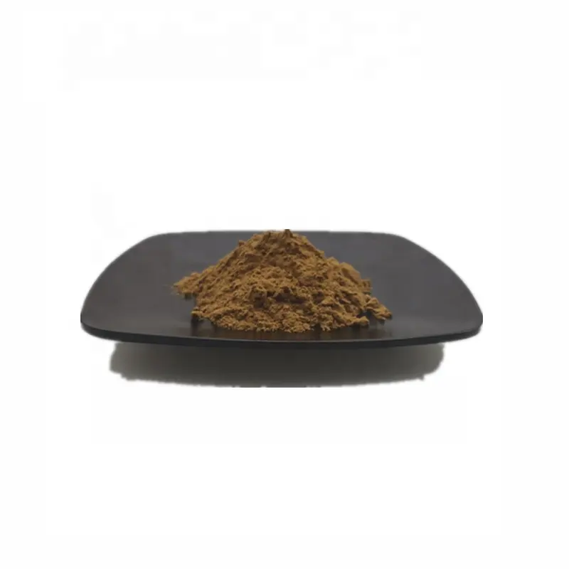 Natürliches Shilajit-Extrakt 50 % Fulvinsäure-Pulver 100 g/Beutel
