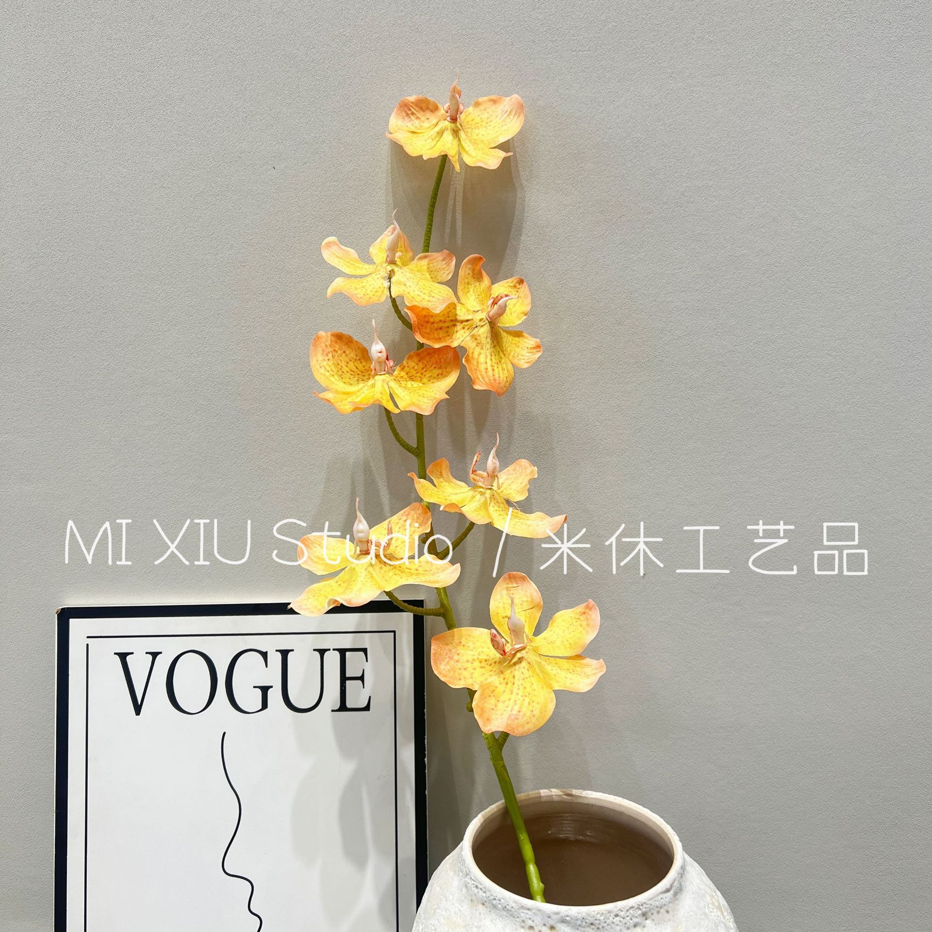 Vanda colgante