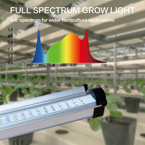 Redfarm Latest 6500k 9000k Clone <strong>Led</strong> Grow Lights with Blue <strong>Red</strong> Replacement T5 Integrated <strong>Led</strong> for Propagation Vegetative - Product Image 2