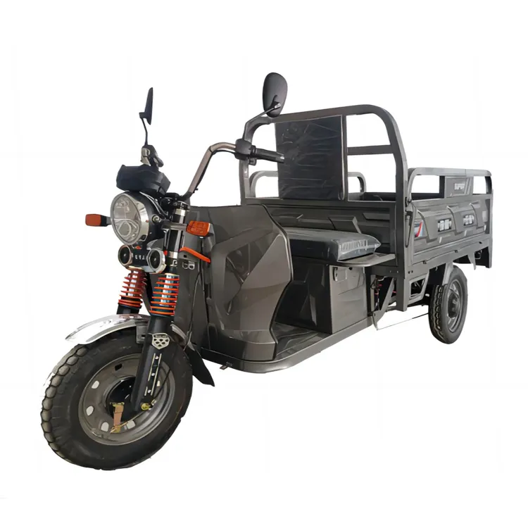 2024 vendite dirette della fabbrica 3 ruote Cargo moto triciclo elettrico Cargo 1000kg Scooter città