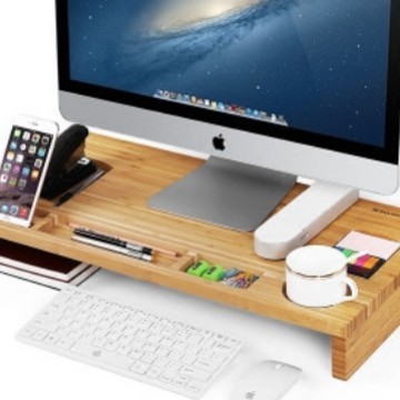 Computer riser