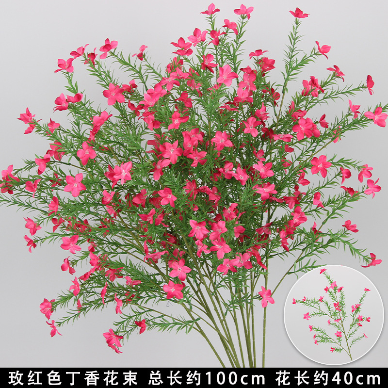 Bouquet de lilas rose-rouge