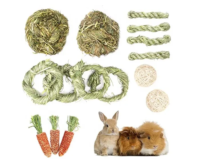 Juguetes Para morder de conejo que incluyen zanahoria, palitos de heno 100% naturales, cuidado de los dientes, sin pegamento, hámsters, Chinchillas, juguetes de Guinea