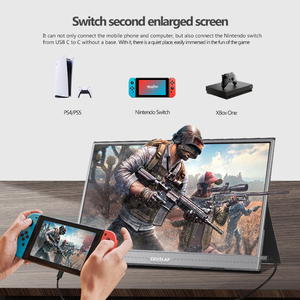 15.6 Inch 178 IPS Viewing Angle Silver Screen Gaming Working <strong>Computer</strong> Laptop Portable Monitor With Type-C <strong>Input</strong> - Product Image 6