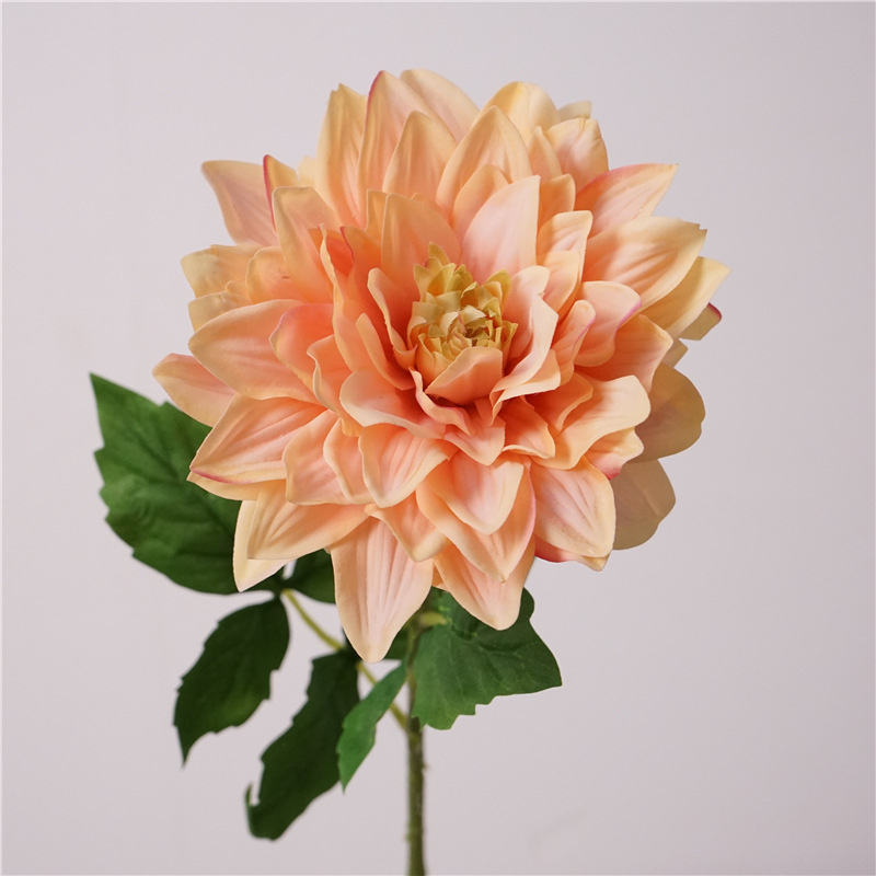 Orange Pink