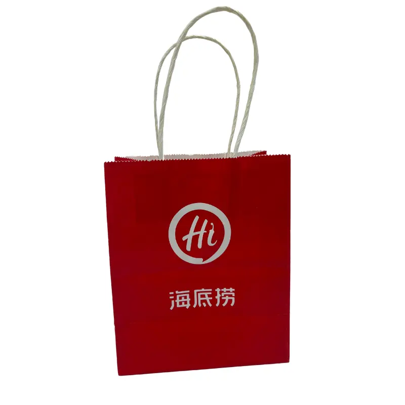 Emballage unique de seconde main étanche en blanc sur le côté en gros sac d'artisanat personnalisé femmes sacs en papier brun