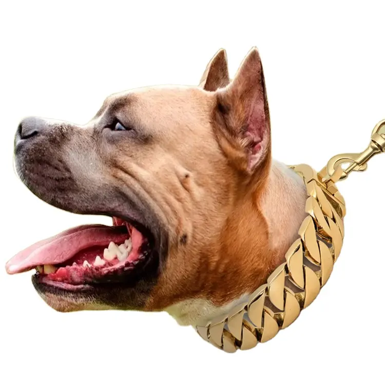 Collar de Metal de lujo para perro, cadena de eslabones cubanos de 32mm, cadenas de oro para perros grandes Pitbull