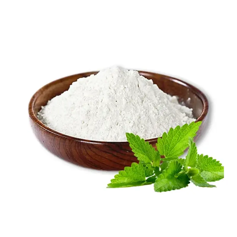 Ekstrak daun Stevia kering murni organik 95% 97% 98% 99% bubuk Stevia bubuk gula Stevia pemanis besar