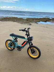 Mario Ebike 1500w Fast <strong>Speed</strong> Off-road Fat Tire Electric Fat Bike with Amazing Color