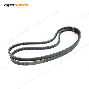 agrotianda Container-Ladungs- und Entlademaschine langlebiges Bandförderband für Lkw und Container - Product Image 6