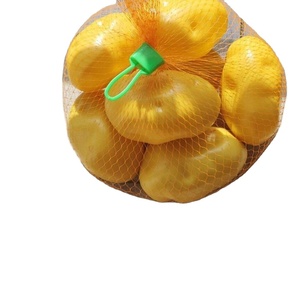 Özelleştirilmiş sipariş kabul küçük plastik çevre dostu örgü Net çanta ambalaj taze sebze meyve - Product Image 3