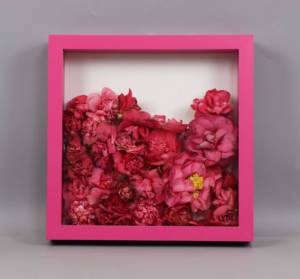 Shadow <strong>Box</strong> for Keep Flower, 8x8&quot; 9x9&quot; <strong>10x10</strong>&quot; 12x12&quot; Size With Inner 3cm Space, Picture Frame - Product Image 4