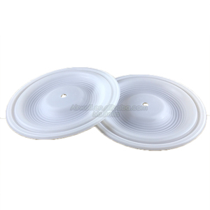 08-1010-55 08-1010-52 PTFE/Buna隔膜，适用于Wilden 2 "P8 PS8 PX8 T8气动泵 - Product Image 5