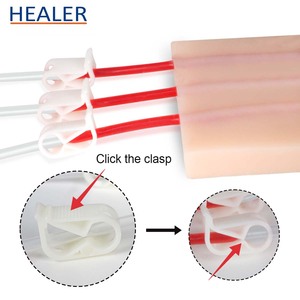 Simulador de ciencia médica multiusos para entrenamiento de inyección de piel modelo de práctica IV - Product Image 5