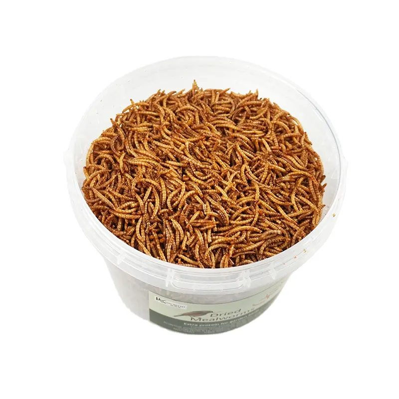 Natural Birds Food High Protein Worm Dried Black Soldier Fly Larvae