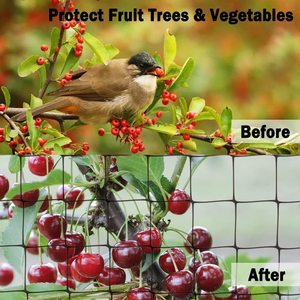 Pp Plastic Wire Mesh Plant Climbing Anti <strong>Bird</strong> Mesh Anti Mole Mesh Netting Bop <strong>Bird</strong> <strong>Net</strong> for <strong>Garden</strong> - Product Image 5