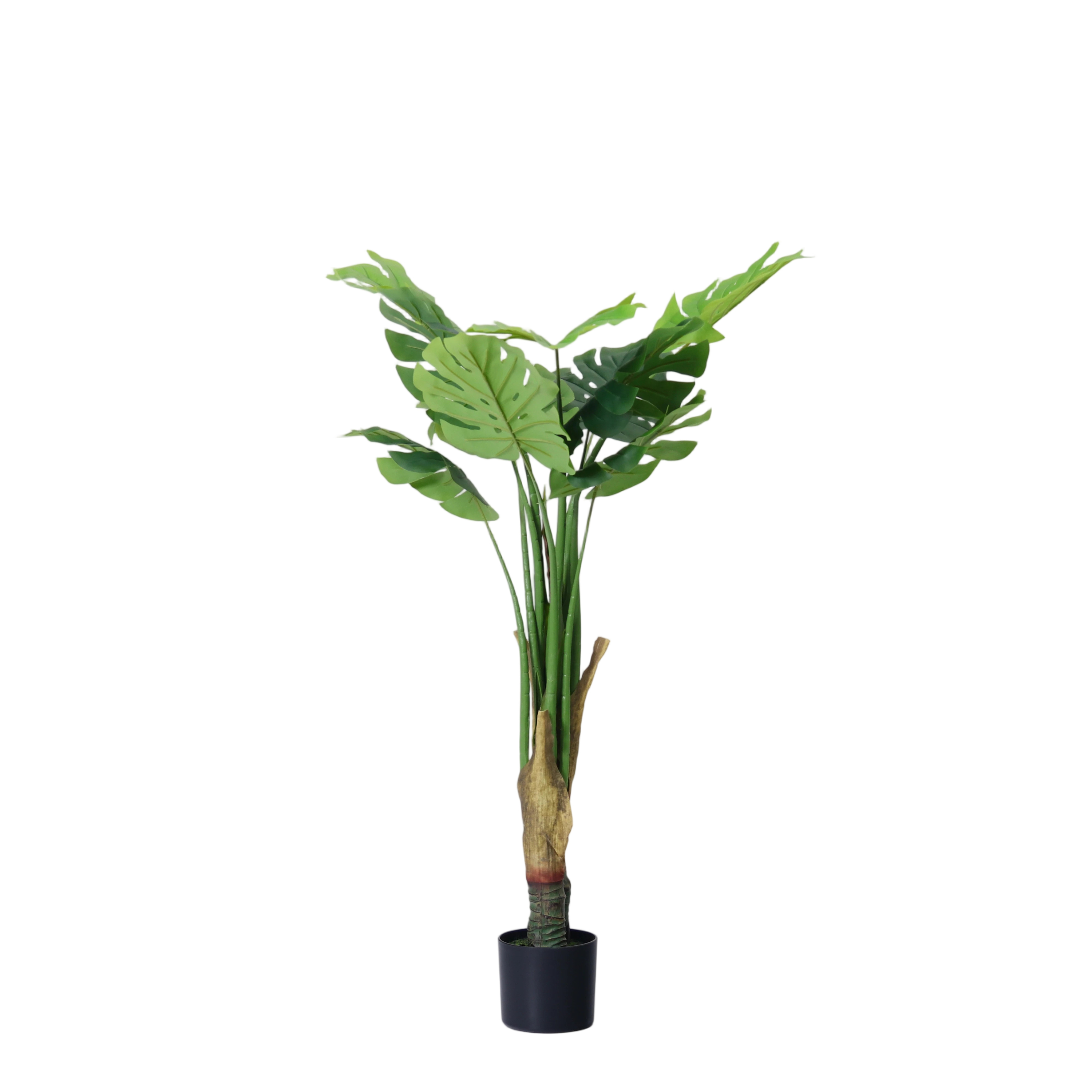 120cm