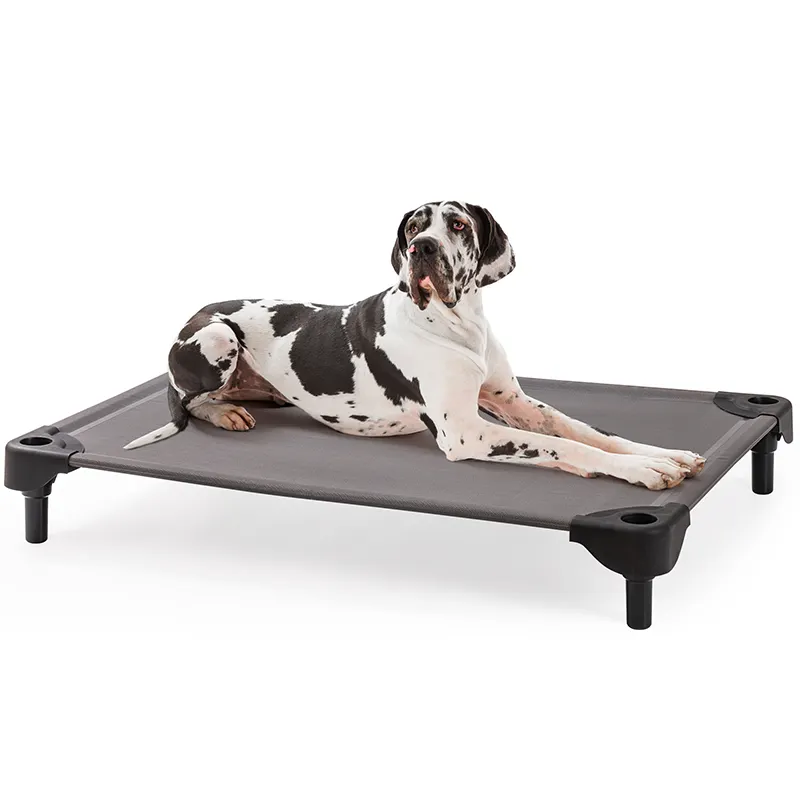 Mewoofun Indoor Outdoor Gebruik Ademend Mesh X-Grote Hond Verhoogd Bed Huisdier Kampeerbed Zomers Verhoogd Bed Voor Honden