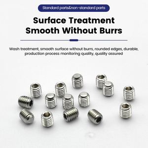 工厂制造商定制分类套件垫圈无头定位螺钉 - Product Image 5