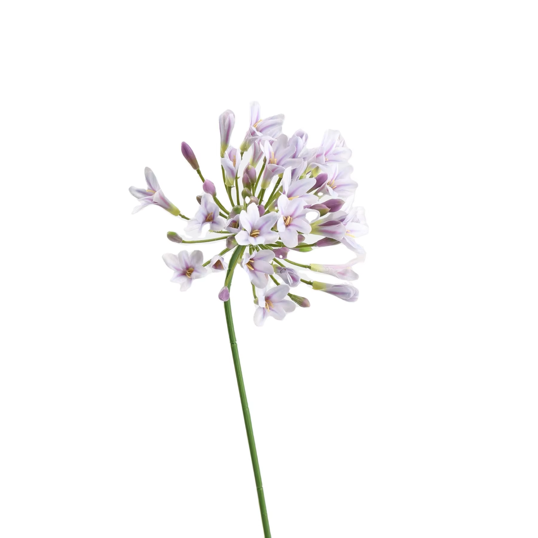 White purple