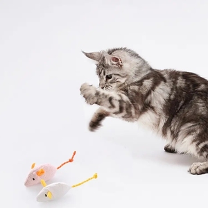 Venta al por mayor dientes de gato limpieza Dental juguete de peluche ratones hierba gatera juguete para gatos y gatitos - Product Image 6