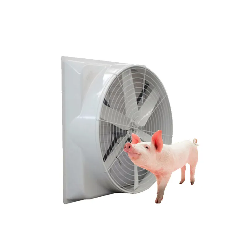 Bestseller Kegel Glasfaser ventilator Frp Belüftung Abluft ventilator für Geflügel Industrie abzugs ventilator