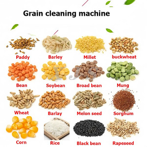 Macchina per la smistamento dei cereali e la vagliatura della macchina per la pulizia del grano chiamata anche macchina per la pulizia del grano - Product Image 6