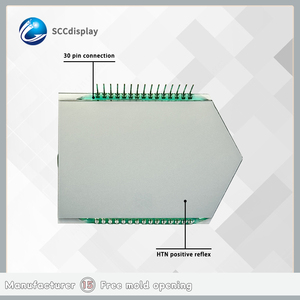 Niedriger Preis Benutzer definiertes 7-Segment-LCD-Anzeigemodul HTN Positiv für neue Motorräder SJXDGW014 Instrumenten anzeige segment - Product Image 3