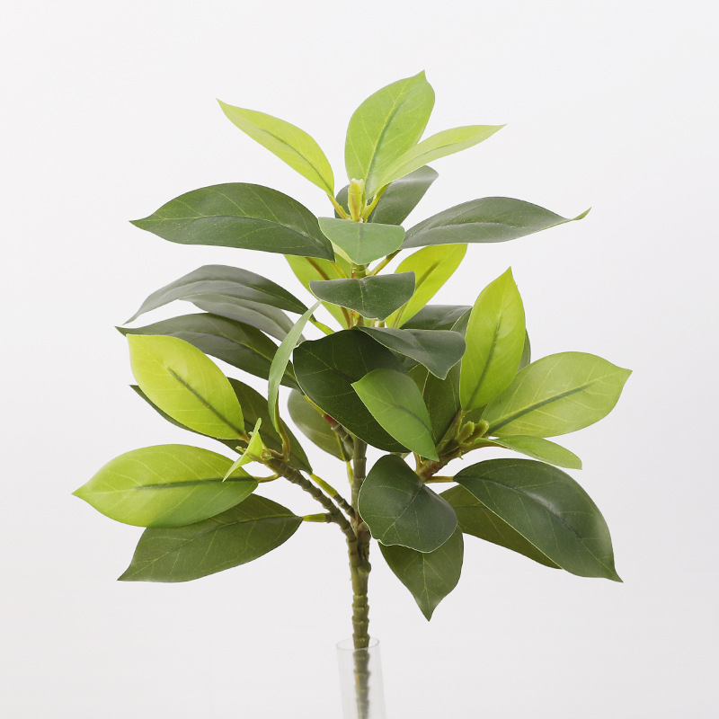 35 feuilles gris-vert
