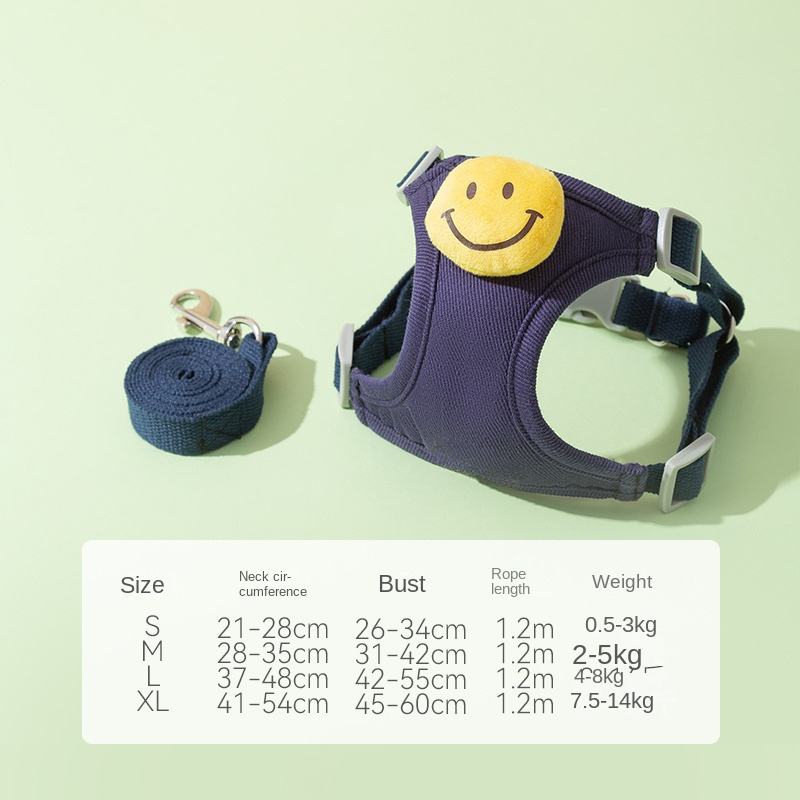 Visage souriant bleu marine