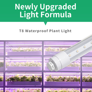 T8防水LEDは光を育てます-工場直送、カスタムスペクトル、水耕システムの野菜の成長を20% 速くします - Product Image 4