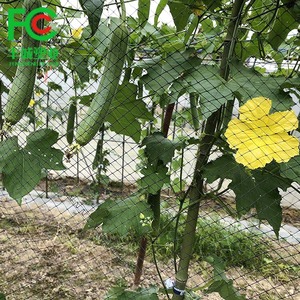 Heavy-Duty Plastic <strong>Mesh</strong> Bird Netting Solar Panel BOP Elastic Stretch <strong>Net</strong> for Fruit Bird Barrier Deer Fence <strong>Custom</strong> Cutting - Product Image 3