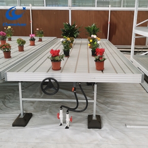 ローリングベンチ温室栽培植物Ebおよびフローテーブル物流ローリングベンチ - Product Image 4