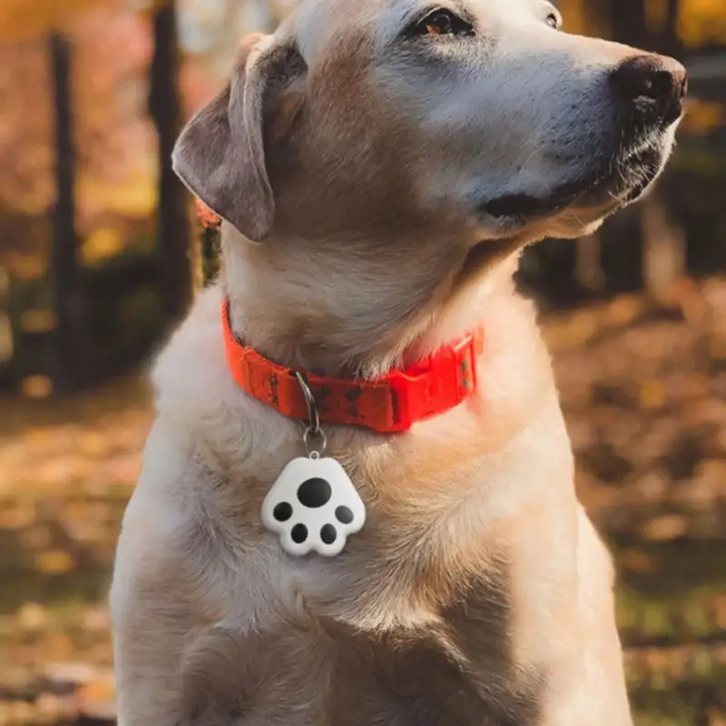 Localizador de collar gps para perro, dispositivo de seguimiento en tiempo real, 4g, novedad