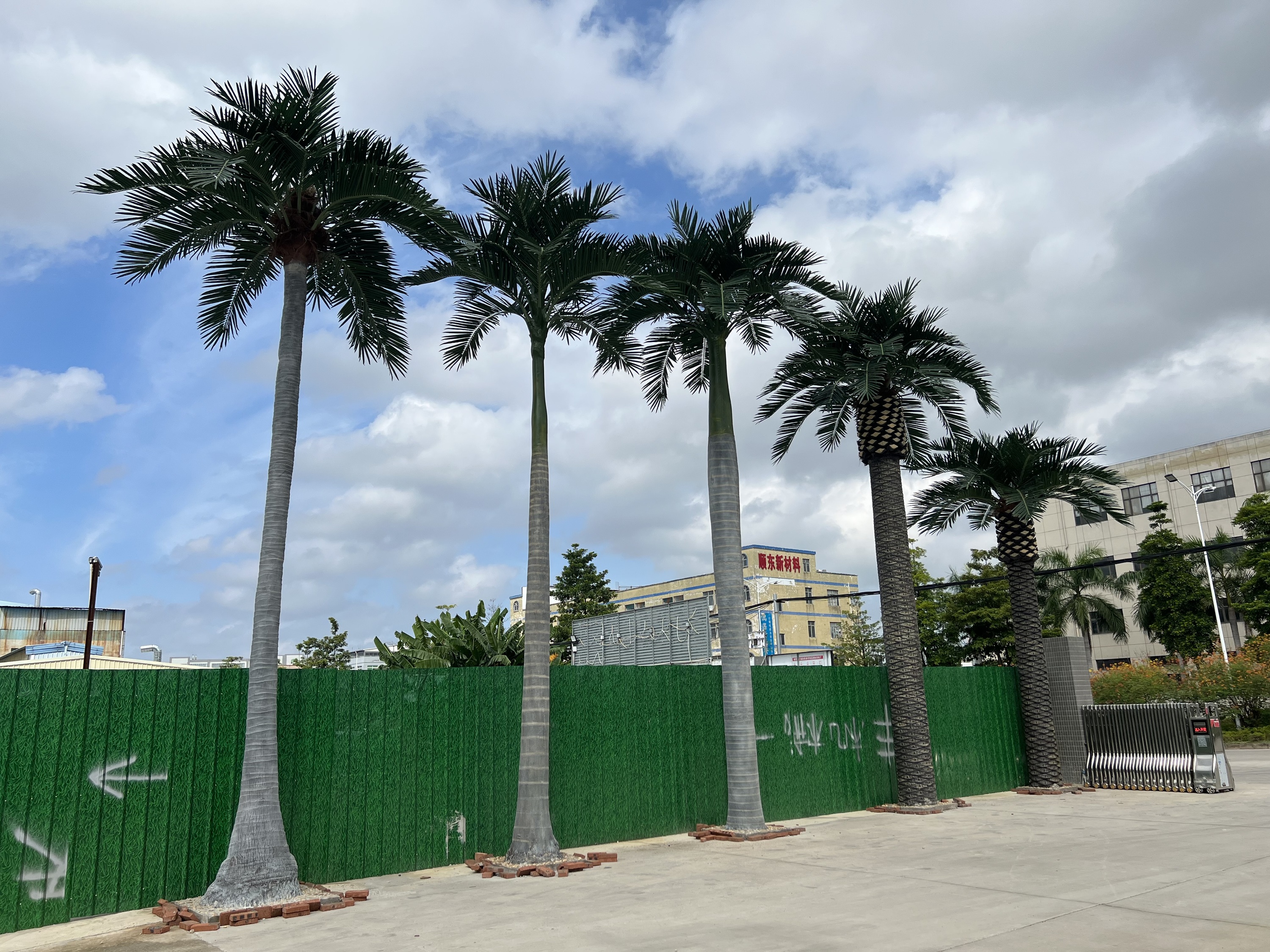 Custom coconut tree