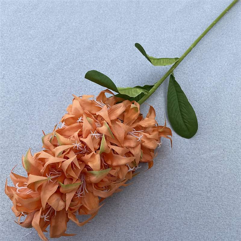 Naranja