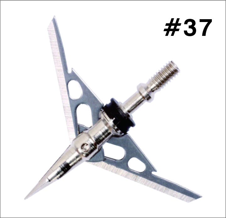 #37