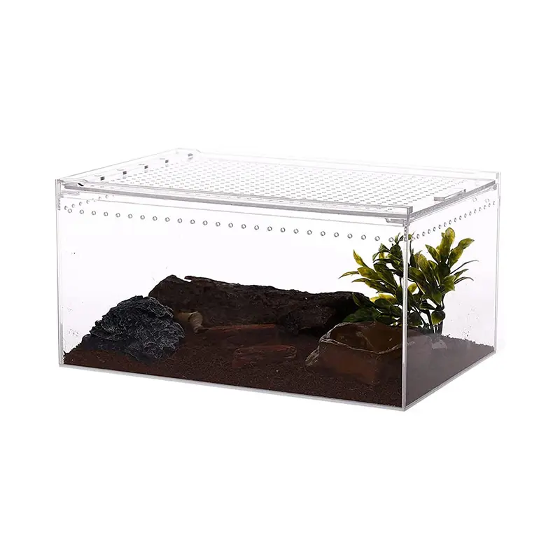 Hộp Sinh Sản Bò Sát Bao Vây Lớn Bằng Nhựa Acrylic Từ Tính Lồng Hồ Cạn Cho Côn Trùng Tarantulas Động Vật Lưỡng Cư Sâu Bướm