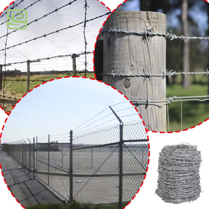 Hot Dipped Galvanized Barbed <strong>Wire</strong> for Farm - Product Image 4