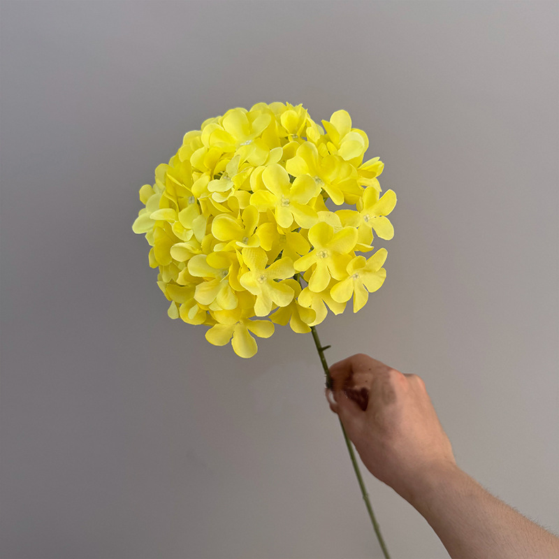 Jaune