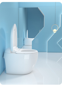 German Craft Egg-shaped <strong>Toilet</strong> to Reform the Ordinary <strong>Toilet</strong> New Trend of <strong>Toilet</strong> Seat Without Water Pressure Restrictions - Product Image 3