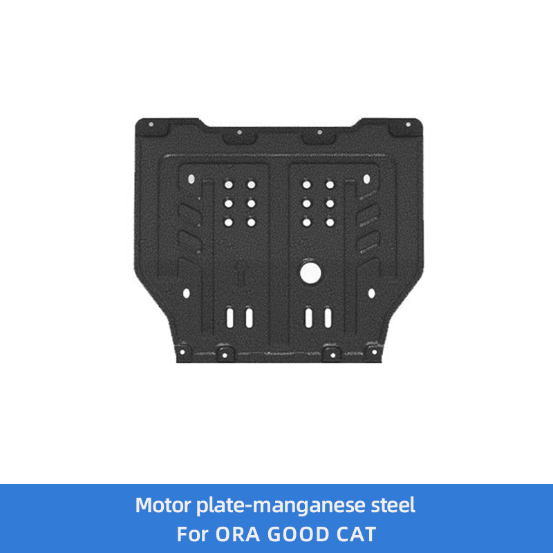 Motor Plate(Manganese Steel)