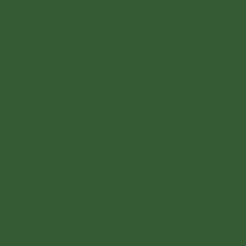 Avion vert foncé