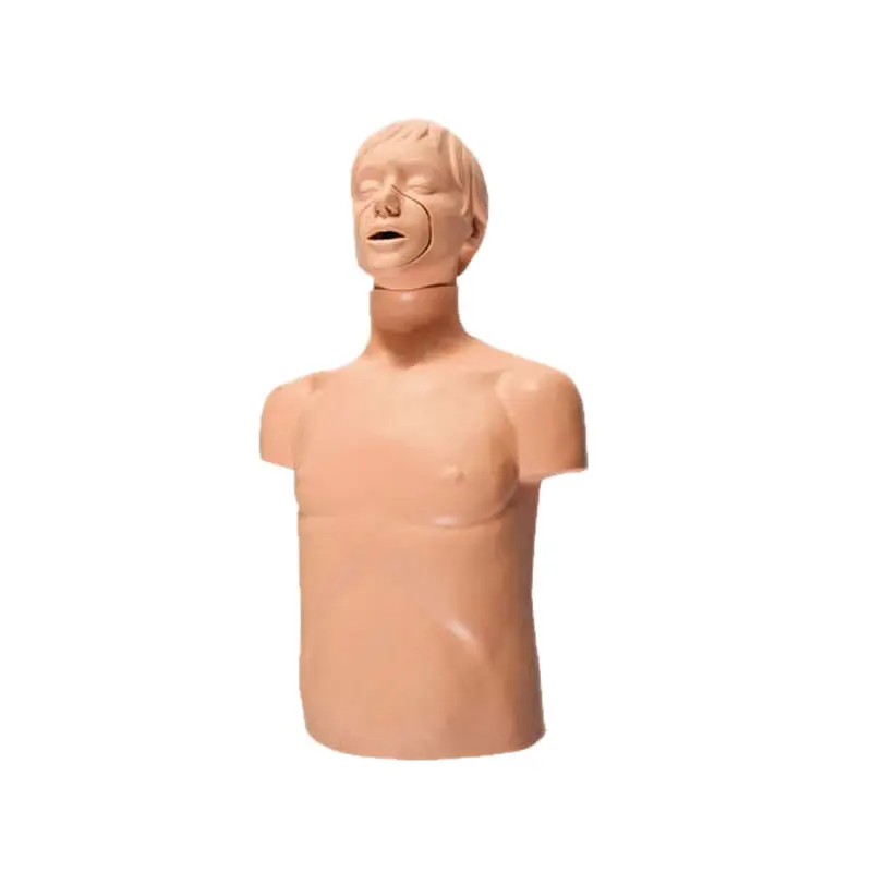 Tıbbi bilim yarım vücut CPR eğitim mankeni yetişkin havayolu tıkanıklığı modeli