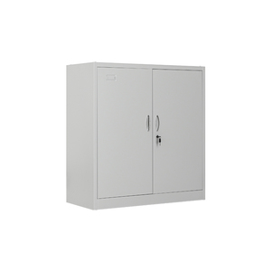 定制低高度钢制文件柜2平开门KD结构家用办公室金属储物柜 - Product Image 1