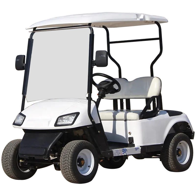 Mini voiture de golf électrique à châssis haut, 2 places, 2 places, buggy alimenté par batterie, pour adultes.