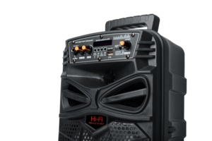 Altavoz portátil de 8 pulgadas, entrada USB, tarjeta SD, AUX, FM - Product Image 2