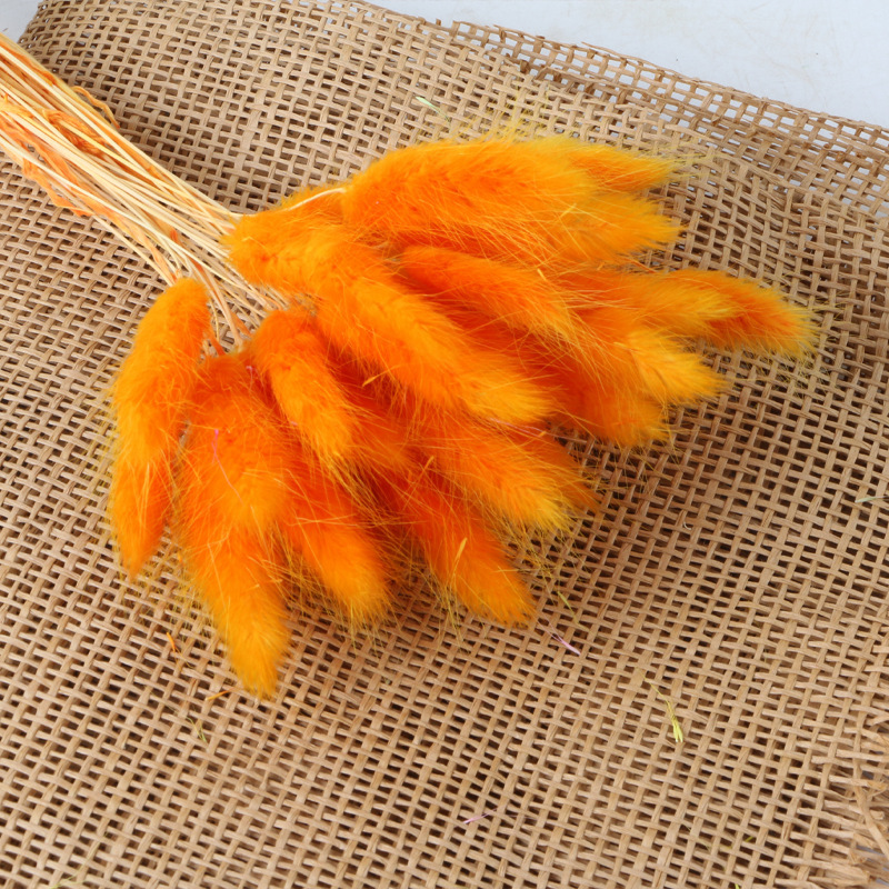 Orange (env.30 pièces)